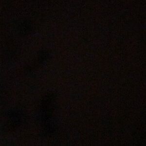 Meet your Posher, Marcelles